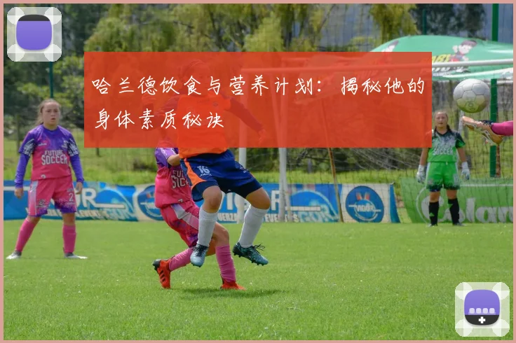 哈兰德饮食与营养计划：揭秘他的身体素质秘诀