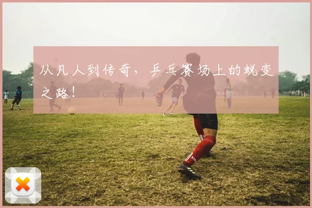 从凡人到传奇,乒乓赛场上的蜕变之路!