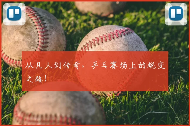 从凡人到传奇,乒乓赛场上的蜕变之路!